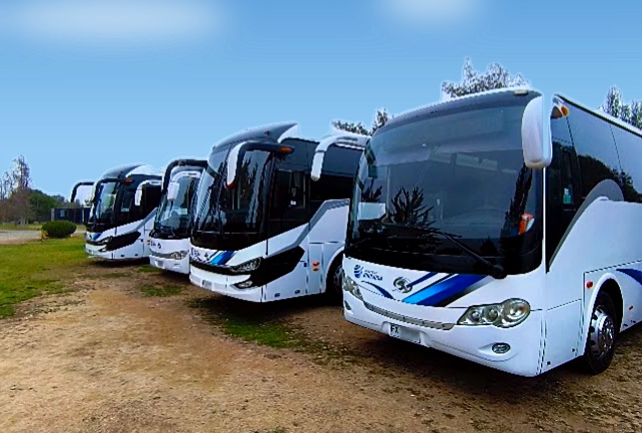 Cuatro buses King Long XMQ de la flota en un día soleado